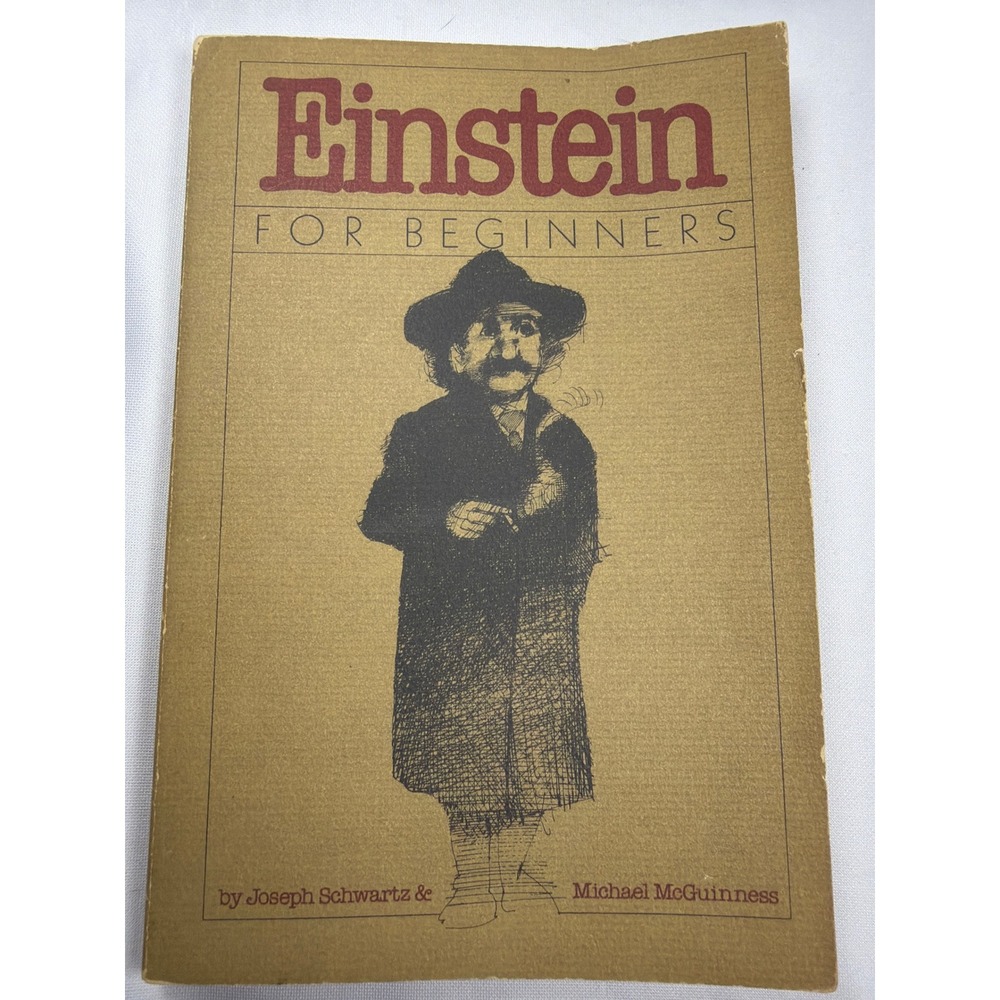 Pantheon Einstein For Beginners Book Unisex OS Brown Paper Vintage Physics Comic